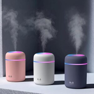 H2O Humidifier